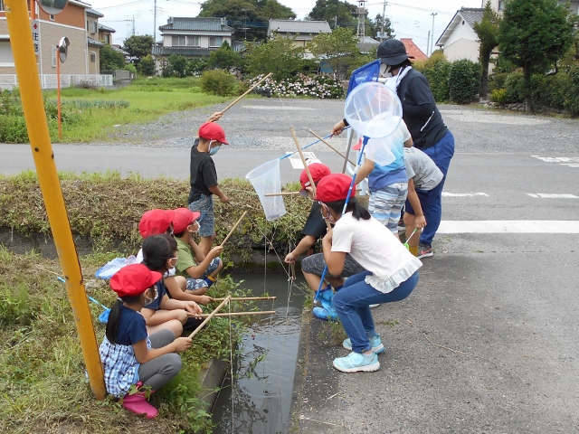 熊谷市立市田小学校 トップページ